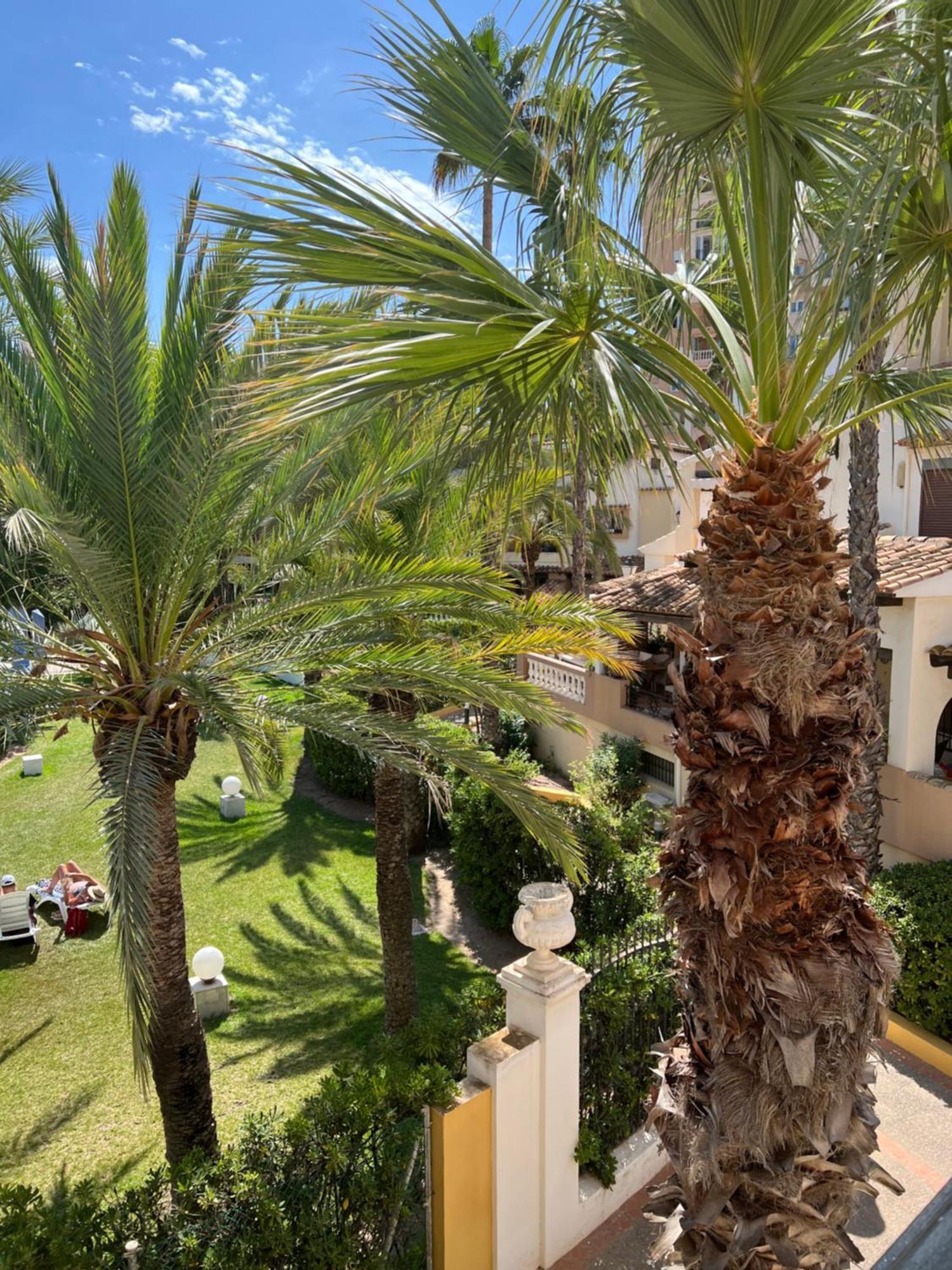 托雷维耶哈Casa Al Mare Aldea公寓 外观 照片